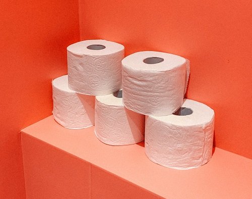 French toilet paper