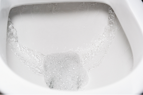 can hair clog a toilet