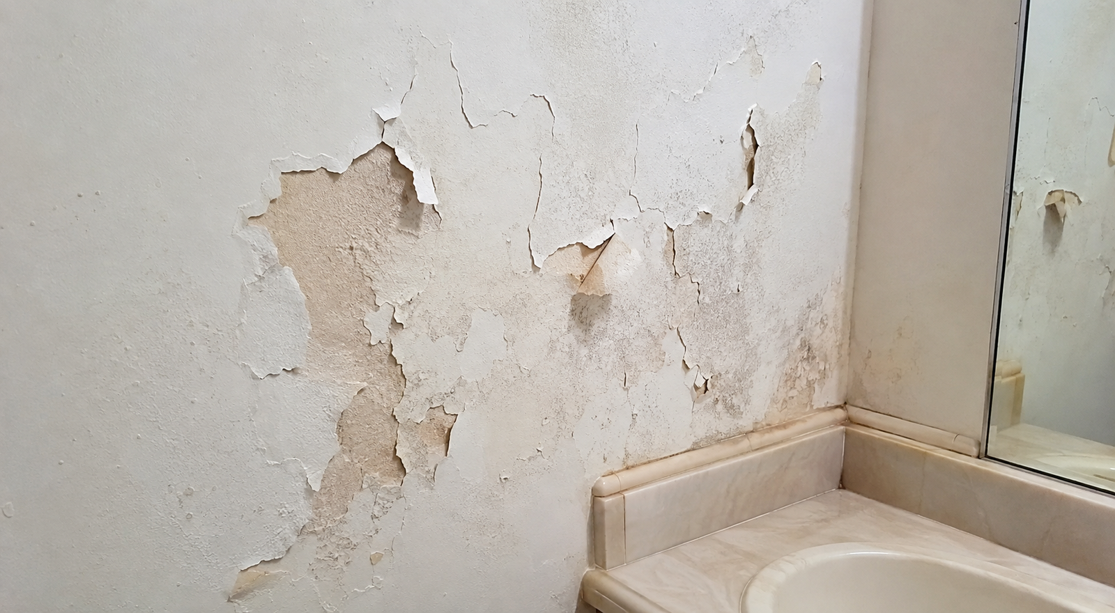 Why Is My Bathroom Paint Peeling How to Fix it for Good